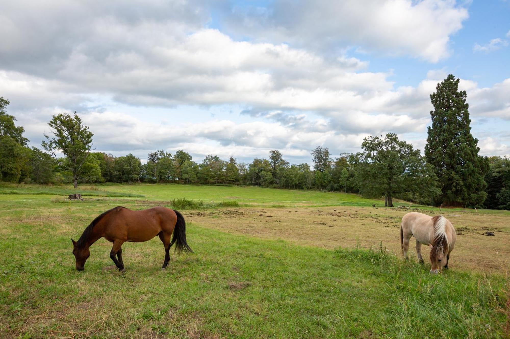 Domaine Et Chateau De Valinches Marols エクステリア 写真